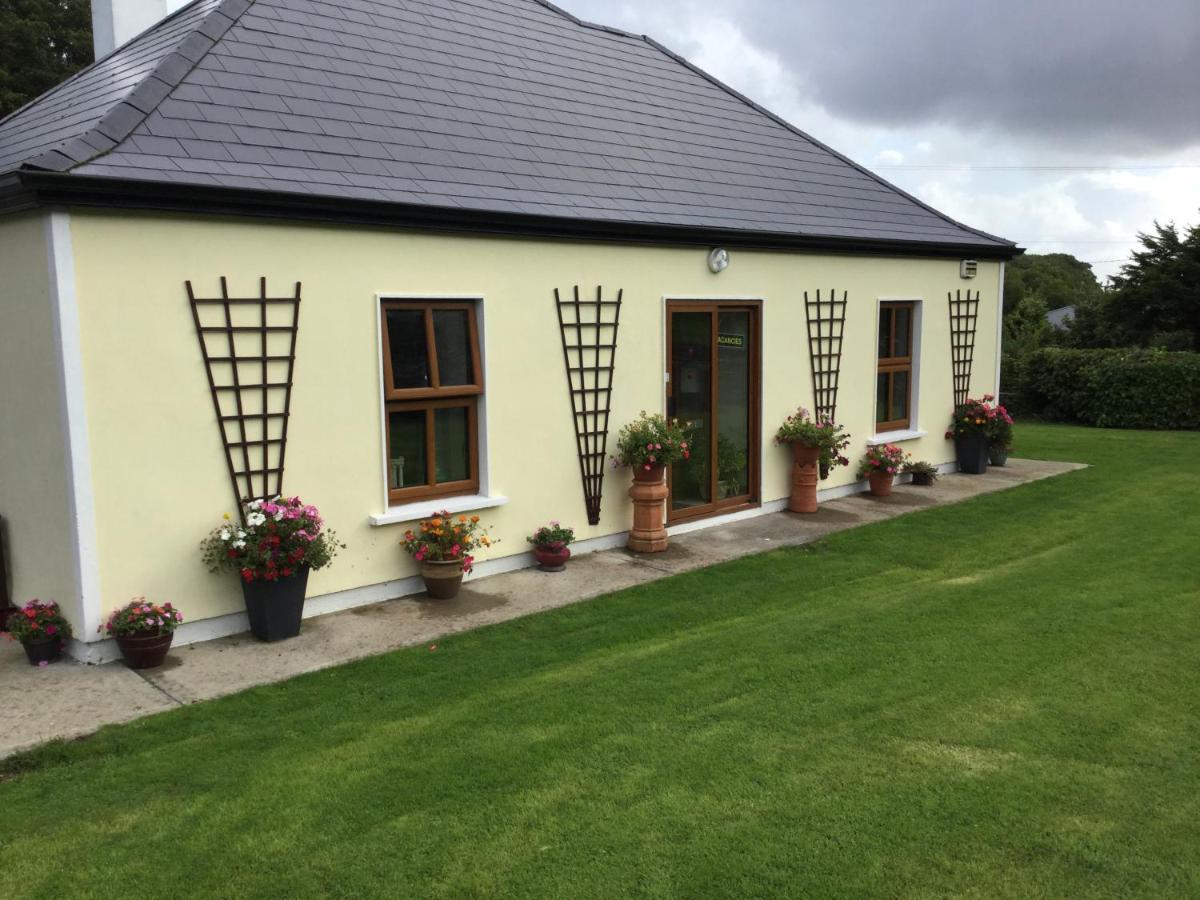 Rose Cottage Westport Eksteriør billede